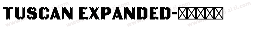 Tuscan Expanded字体转换